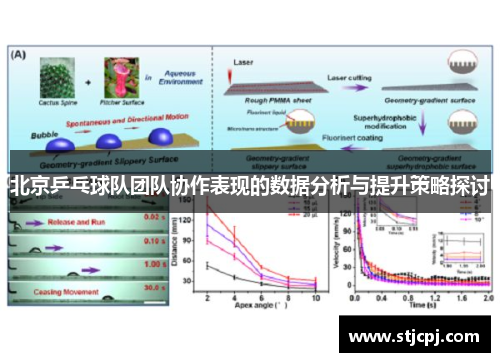 北京乒乓球队团队协作表现的数据分析与提升策略探讨