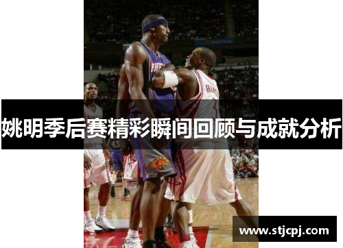 姚明季后赛精彩瞬间回顾与成就分析